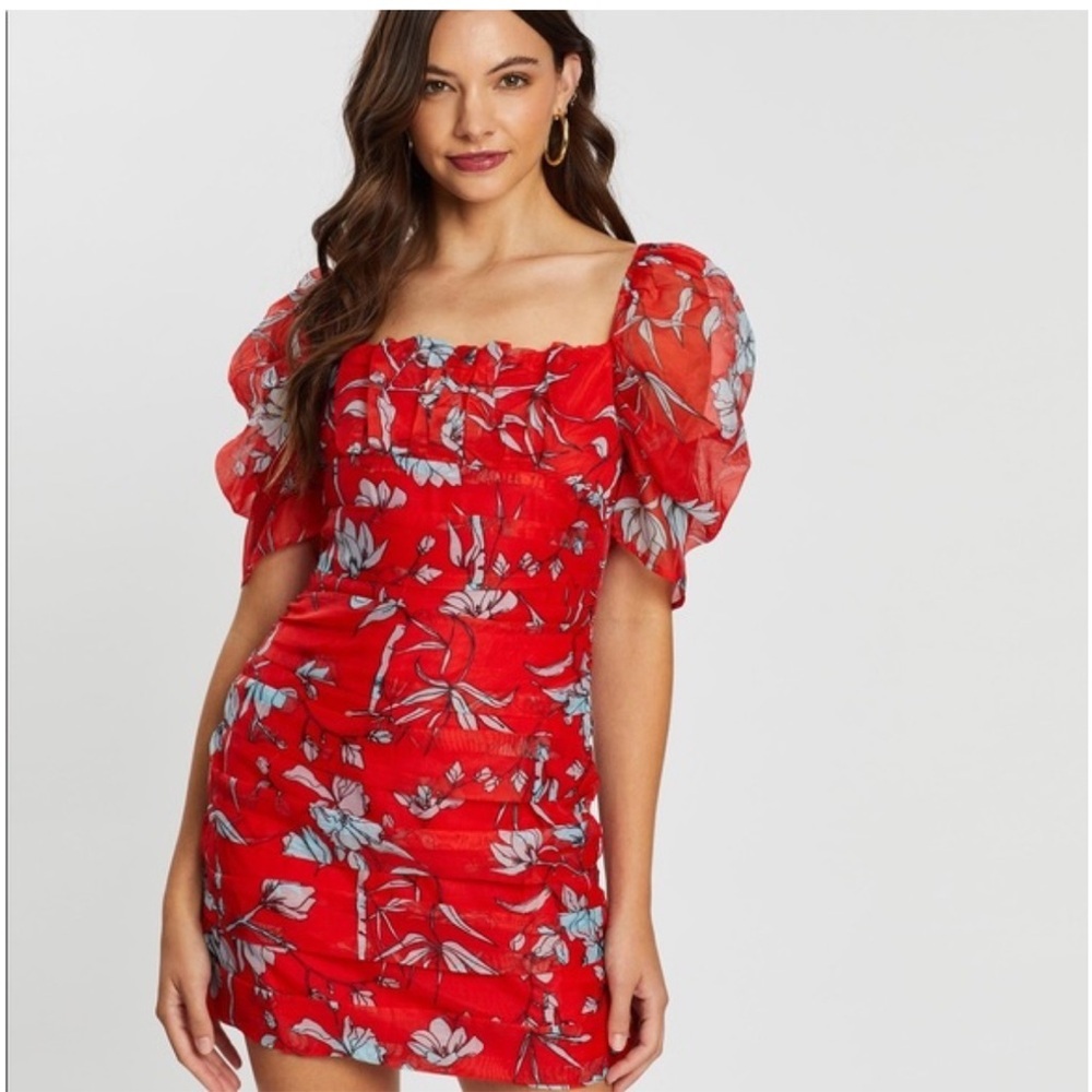 Charlie Holiday Palma Floral Puffy Sleeve Dress Size Medium